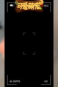 Áo chó mèo  áo bear tiger họa tiết dễ thương - goumao pet - hachong