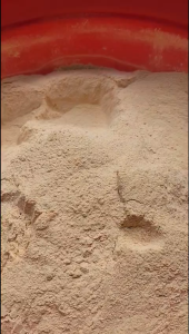 Muối sặc tôm hủ 100g