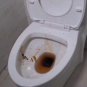 K0714 ( BUY 1 FREE 1) Disinfectant Toilet Cleaner Scented with Flower Fragrance Toilet Cleaner 花香洁厕剂 (1套2支)