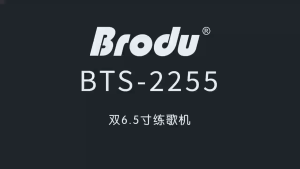 BTS-2255 6.5x2 Inch Wireless Portable Outdoor Dj Party BT Bluetooth Speakers with 2 wireless mic