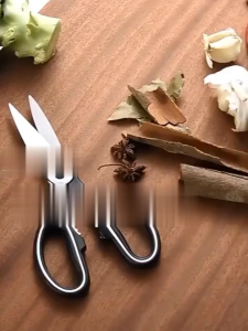 Gunting Dapur Multifungsi / Gunting Dapur Serbaguna / Gunting Ikan Ayam Daging Stainless Steel