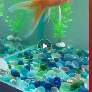 Blue Glass Stone Aquarium Decoration  Pebbles Fish Tank Batu 鱼缸装饰 荧光石 蓝沙 蓝石头 batu akuarium