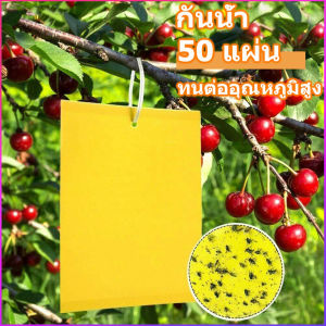 กับดักแมลง สีเหลือง 50 ชิ้น