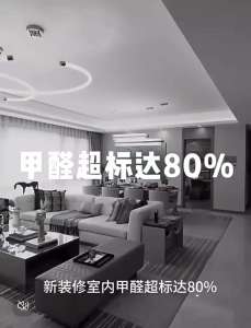 Formaldehyde Removal Spray Powerful Air Purifier Odor Eliminator Powerful Odor Remover Formaldehyde Air Purification Spray VOC Removal Safe Air Purifier New House Purification Car Home Dual Use Powerful Air Purifier and Odor Eliminator