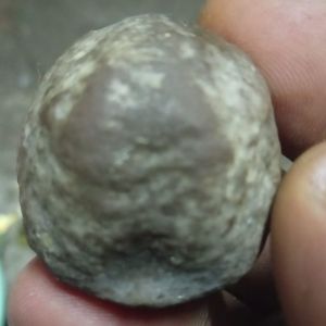 muncang adu yanti murah ori