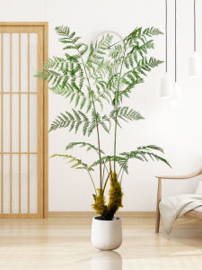 Large Luxury Imitated Tree Fern Indoor Decorative Plant