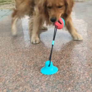 Dog Toy Ball Dog Play Toy Dog Pull Rope Stick On Floor Interactive Dog Toy Suction Teething Toy Dog Chew