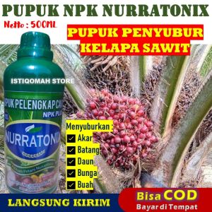 Pupuk Penyubur Akar Batang Dan Daun Kelapa Sawit NPK NURRATONIX 500ml Pupuk NPK Cair untuk Bibit Kelapa Sawit - Pupuk Penyubur Daun Dan Bunga Klapa Sawit - Pupuk Penyubur Daun Dan Batang Sawit Bibit