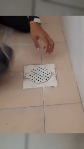 Stainless Steel Square Floor Grating Filter Anti-Cockroach 0.6mm 10cm 15cm Bathroom Toilet Floor Drain Cover Malaysia