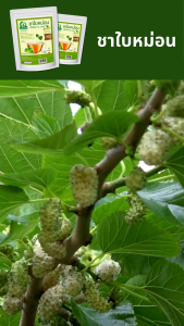 ชาใบหม่อน ตราไร่กฤติยา (Mulberry Leaf Tea) ขนาด 7 ซองชา ผลิตจากใบหม่อนขาว 100%