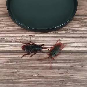 HANYIMOWAN | Realistic Simulation Cockroach Toy Prank Gag Stress Relief Model