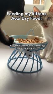 10kg Aozi Natural Lamb Organic Apple Organic Cat/Kitten Dry Food Pet Essentials Accessories