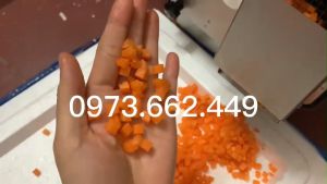 Máy cắt thái hạt lựu cà rốt hành tây su hào quả dứa thanh long thái thạch thái giò hạt lựu làm cơm chiên