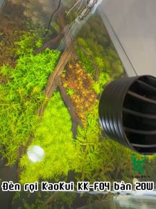 Đèn rọi bể cá thuỷ sinh KAOKUI F04 chỉnh tiêu cự