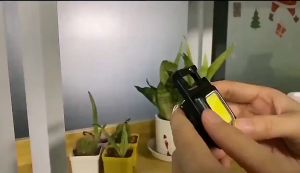 MACAROON Mini Keychain LED Light & Multifunctional USB Rechargeable COB Work Lamp