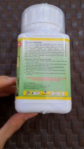 CHROTZ 45 EC INSEKTISIDA PENGENDALI HAMA // CROT INSEKTISIDA // CROTZ INSEKTISIDA