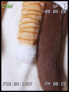 55CM New Hot Sales Long Armed Animals Plush Doll Arm Increased Feeling Load-bearing Toy Panda Husky Fox Koala Pillow Kid Gift