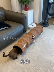 Foldable Cat Tunnel Toy Interactive Self Entertaining Fatigue Consumption Resistant to Scratching And Biting Cat Hole Excavation