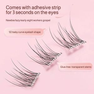Newbie Guide: Lazy Glue Free False Eyelash Mamasan Natural