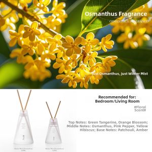 CHUNFENGSHILI | Floral High-quality Room Fragrance Diffuser