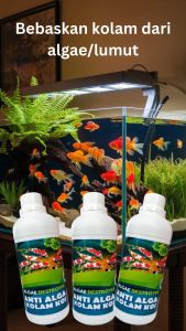 Algae Distoyer Anti Algae Anti lumut dan Parasit Obat Pembasmi Lumut Kolam ikan hias dan Aquarium 500 ml