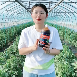 绿陇 蛋白 原浆小肽鱼蛋白 氨基酸 有机水溶肥料 Fish Protein Liquid Fertilizer Hydrolyzed Fish Protein Amino Acids Baja Protein Ikan Cecair