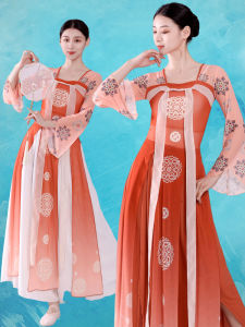 Elegant Classical Dance Performance Outfit Womens Shawl Costume Tunic Top Skirt Set Dance Practice Uniforms Polyester