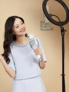 MEINIAO | Multifunction Integrated Microphone Sound Card Speaker For Home Outdoor Karaoke
