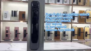 COD kIRIM CEPAT TaffHOME Kunci Pintu Smart Lock Digital Fingerprint 3D Face Recognition Card Eques - A1