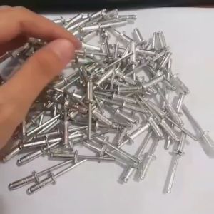 Paku Rivet 48x127 (649) 500pcs