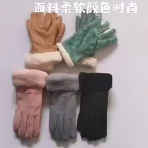 A Pair Women Gloves Winter Touch Screen Suede Warm Full Finger Gloves Outdoor Sport Driving Gloves
