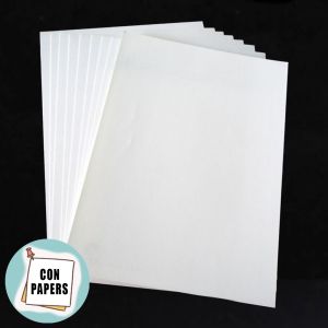 Snow White Paper 20"x30" w/ FREE Carton Tube