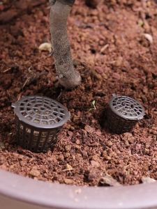 HCm - Combo 5 Rọ đựng phan tan chậm cho cây trồng Bonsai lan  hồ điệp xương rồng.v.v