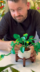 [BrickStory] LEGO Botanicals Hanging Golden Pothos (11512)(372 Pieces)