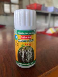 Combo 3 ống Siêu kích rễ giúp cây ra rễ mạnh bung tược mập tược ống 20ml