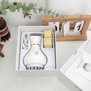 Berus Urut Elektrik Meridian (Tanpa Wayar) Alat Urut Badan Penuh untuk Kesakitan Leher & Pelangsingan Electric Meridian Brush按摩器 經絡按摩器