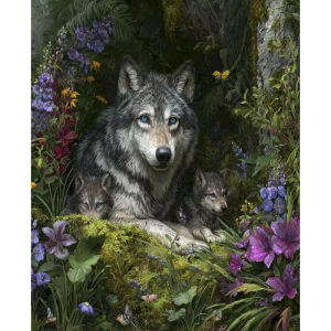 BILIBILI | PhotoCustom Acrylic Paint By Numbers for Adults on Canvas Wolf Animal Coloring Drawing Oil Paintings By Number Home Decor