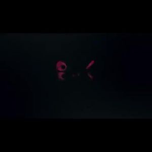 West&Month  Pita kelopak mata berganda   Tidak Kelihatan Bebas Gam Mesh Semula Jadi Terkena Air Jenis Zaitun Renda Yang Melekit