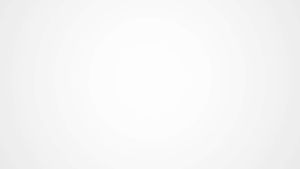 Mật ong hoa nhãn 100% hữu cơ organic nguyên chất cao cấp Hương Lưu BP HONEY - Chai 500ml