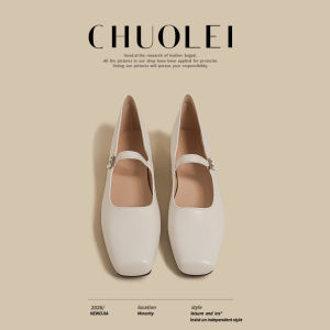 CHUOLEI | Spring French Style Comfortable Vintage Mary Jane Shoes Brown