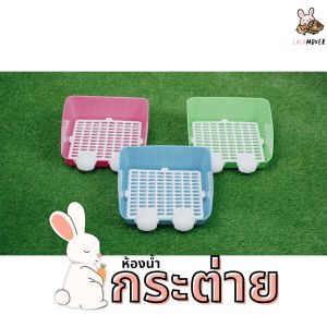 🇹🇭 ห้องน้ำกระต่ายขนาดใหญ่ 🚽 ห้องน้ำกระต่าย 🐣 ห้องน้ำกระต่าย Rabbit Toilet