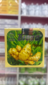 Hũ kem mặt dưỡng da tinh chất nghệ BIONA