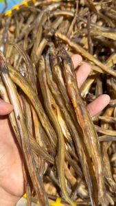 1kg Khô Cá Lãi Tự Nhiên Vị Mặn Vừa Ăn Chiên Giòn Rim Thơm - VỰA KHÔ NÀNG TIÊN