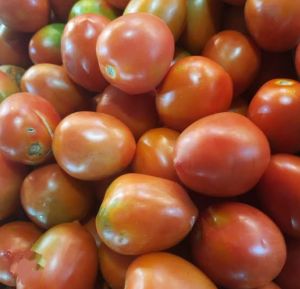 COD tomat merah super 1 kg