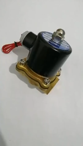 2W Normally Closed Water Inlet Solenoid Valve 220v Copper Switch Valve Dn25 Water Discharge Control Valve Water Valve