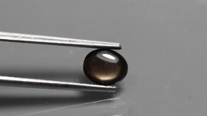 0.50 ct พลอยดิบ พลอยเนื้อแข็ง พลอยสตาร์ 6 แฉก ไข่หลังเบี้ย บางกะจะ