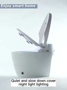Smart toilet with automatic flapflush buttocks and female cleaningdisinfectiondryingbody sensing remote control