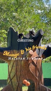 Zoo Negara - Adopt our Mango