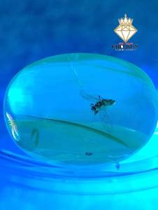 รอบที่-4 ก-36 อำพันพม่าแบบมีแหลง อำพันแท้ 100%