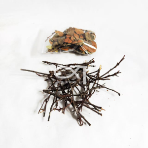 Natural South American Aquarium Decoration Tree Branches Shell Bed Decorative Scenery Pear Leaf for Small Fish And Crabs